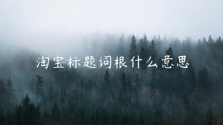 淘寶標(biāo)題詞根什么意思